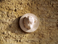 Diana Roundel