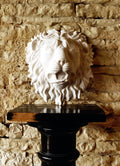 Lion Mask