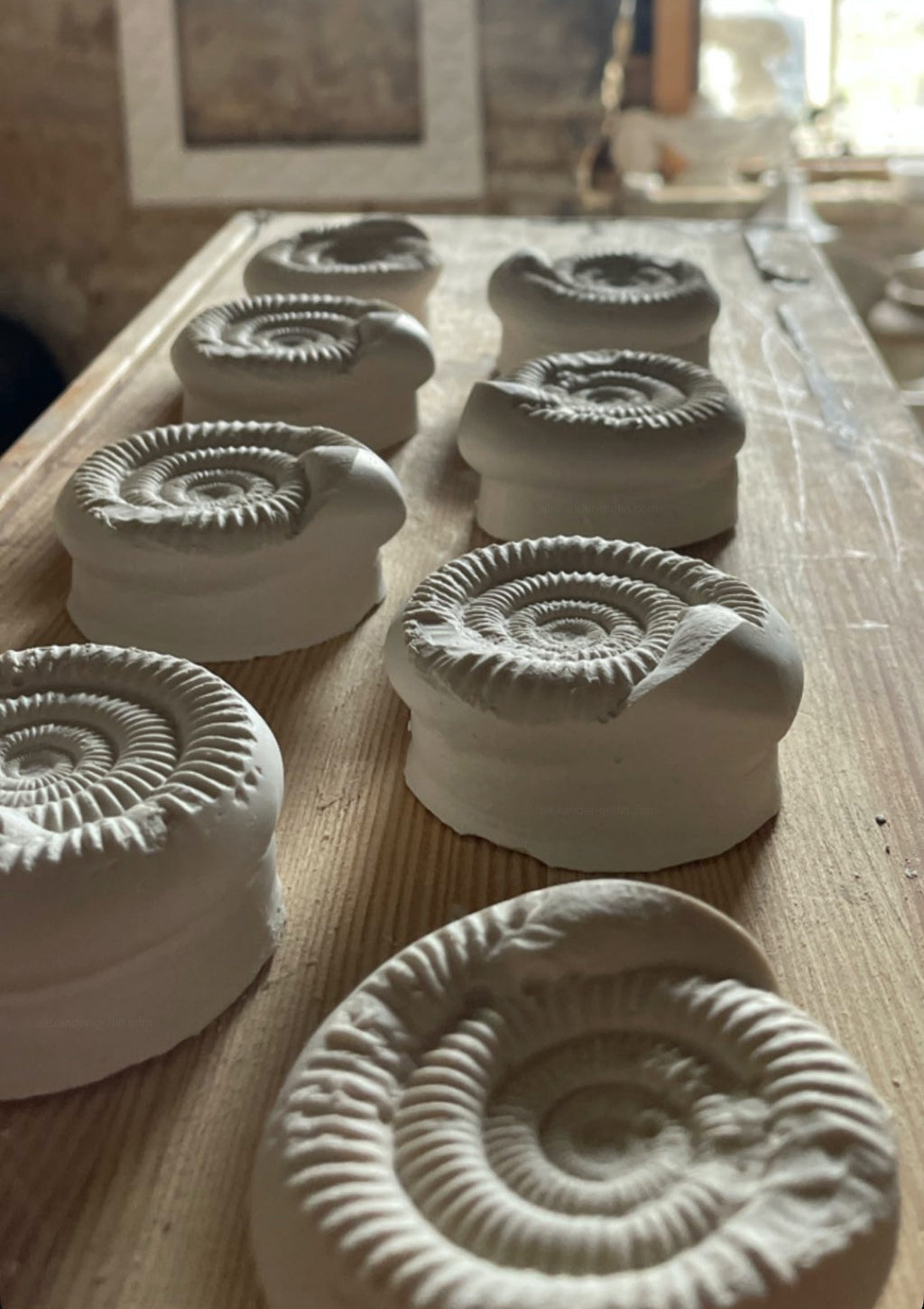Ammonite