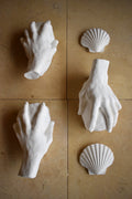 Study of a Hand