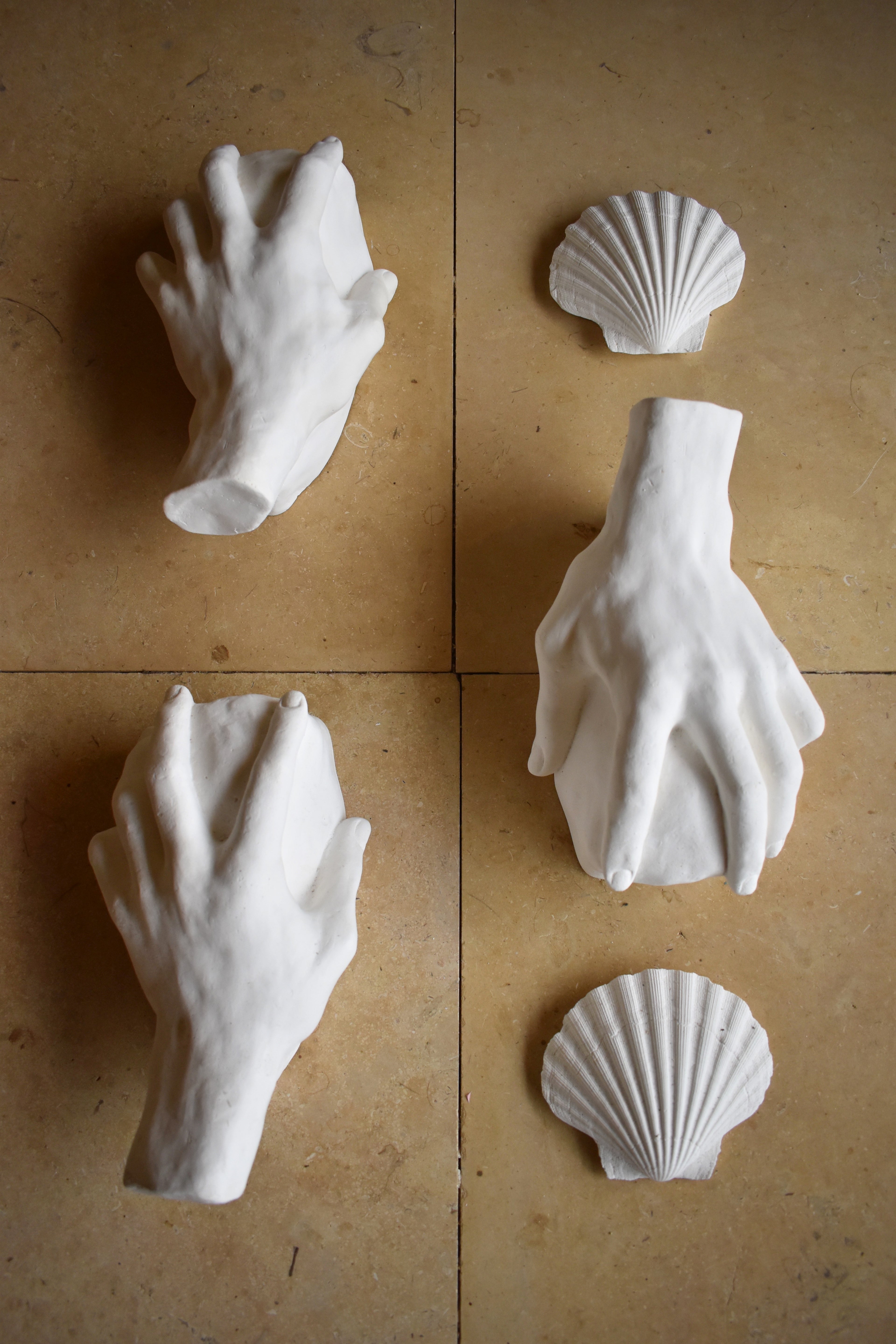 Study of a Hand